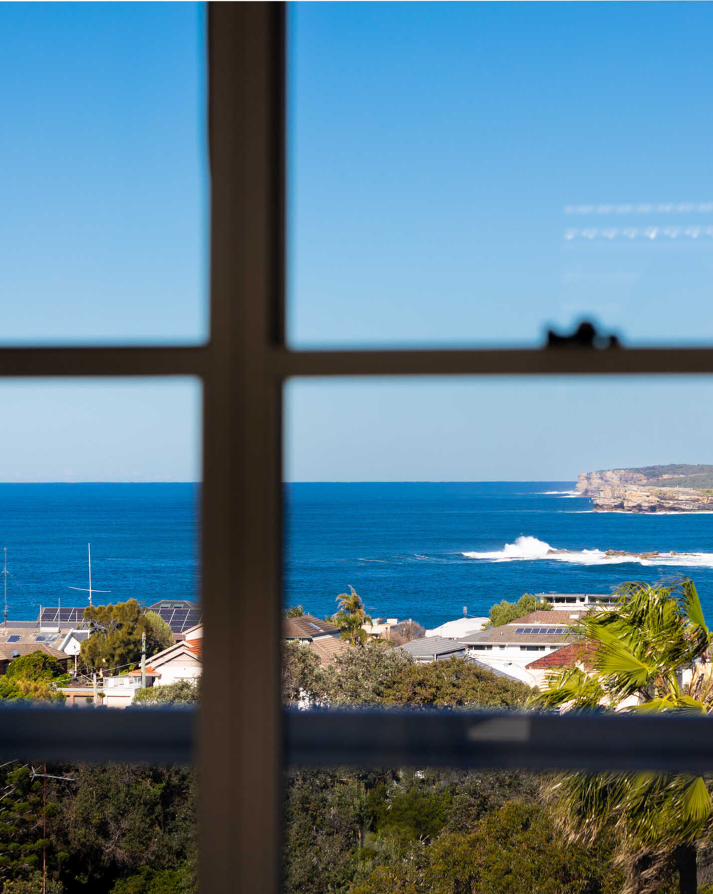 8/1 Blackwood Avenue Clovelly, Clovelly - Thumbnail 3