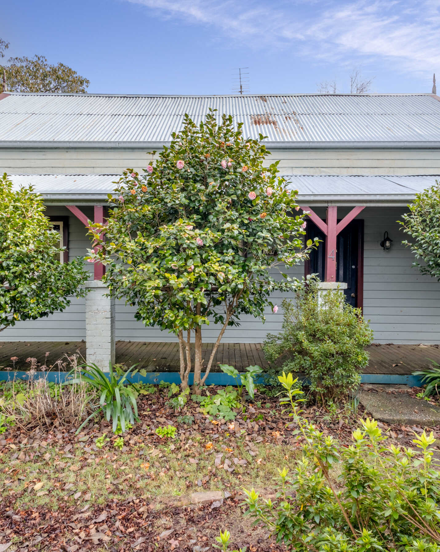 4 Haviland Avenue Blackheath, Blackheath - Thumbnail 2