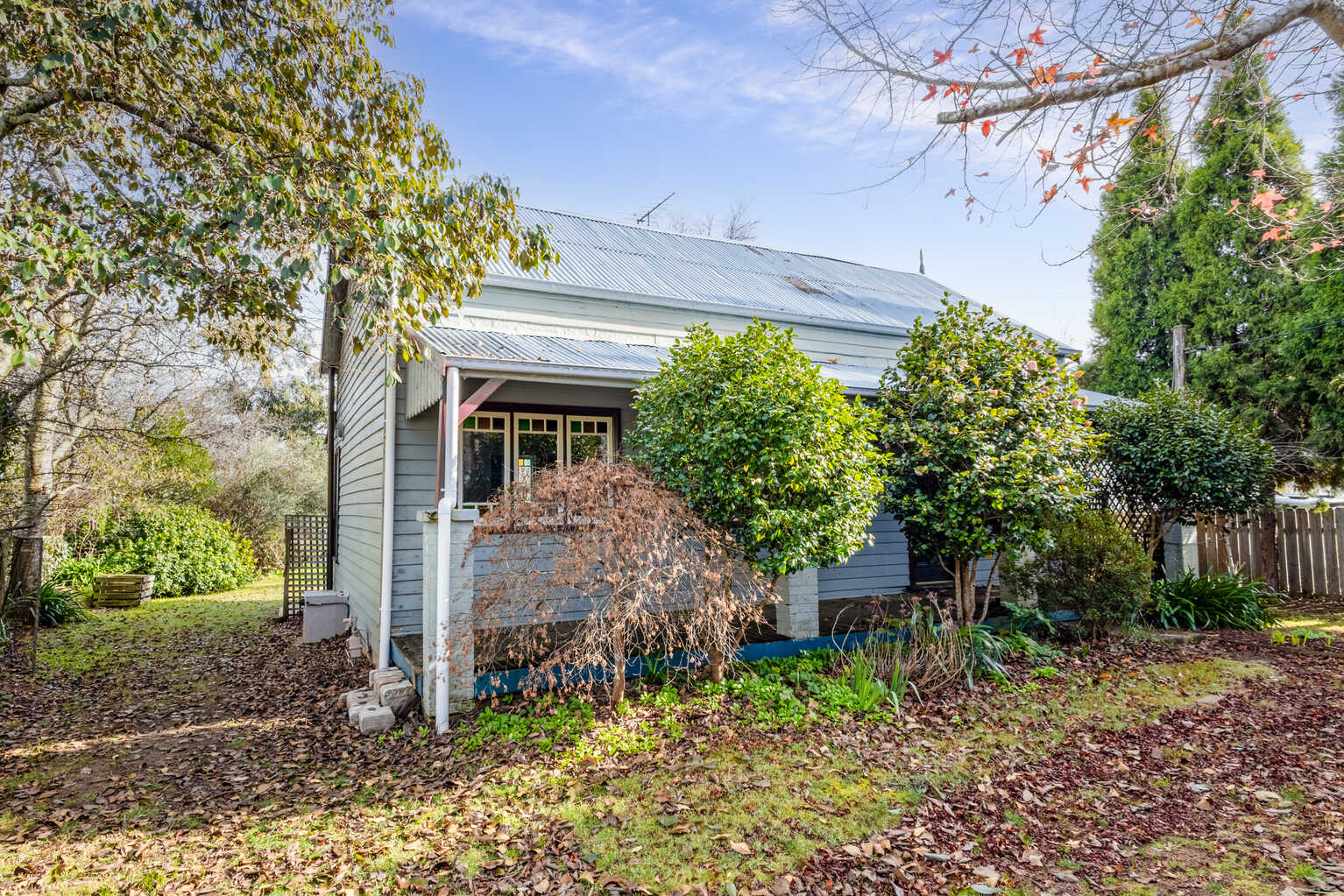 4 Haviland Avenue Blackheath 4 Haviland Avenue Blackheath