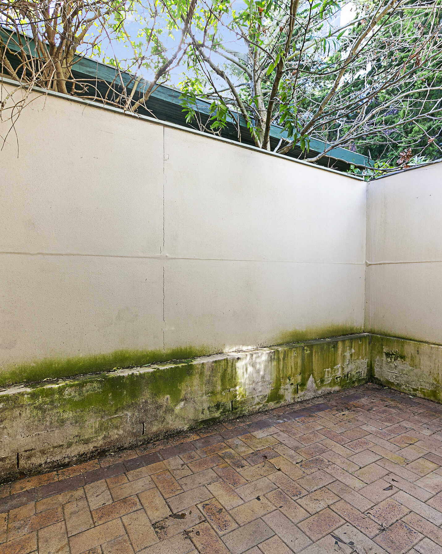 55 GEORGE ST Burwood, Burwood - Thumbnail 8