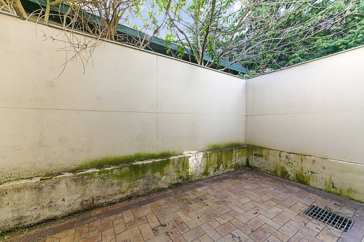 55 GEORGE ST Burwood 55 GEORGE ST Burwood