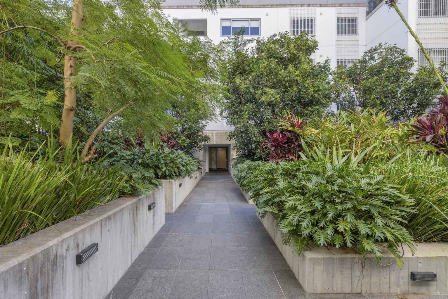 281/803 New Canterbury Road Dulwich Hill 281/803 New Canterbury Road Dulwich Hill