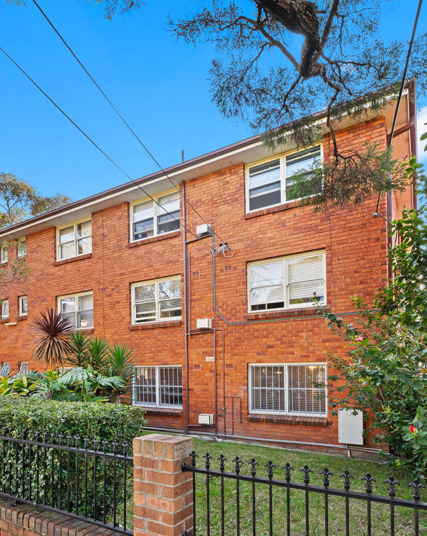 3/486 Illawarra Road Marrickville, Marrickville - Thumbnail 2