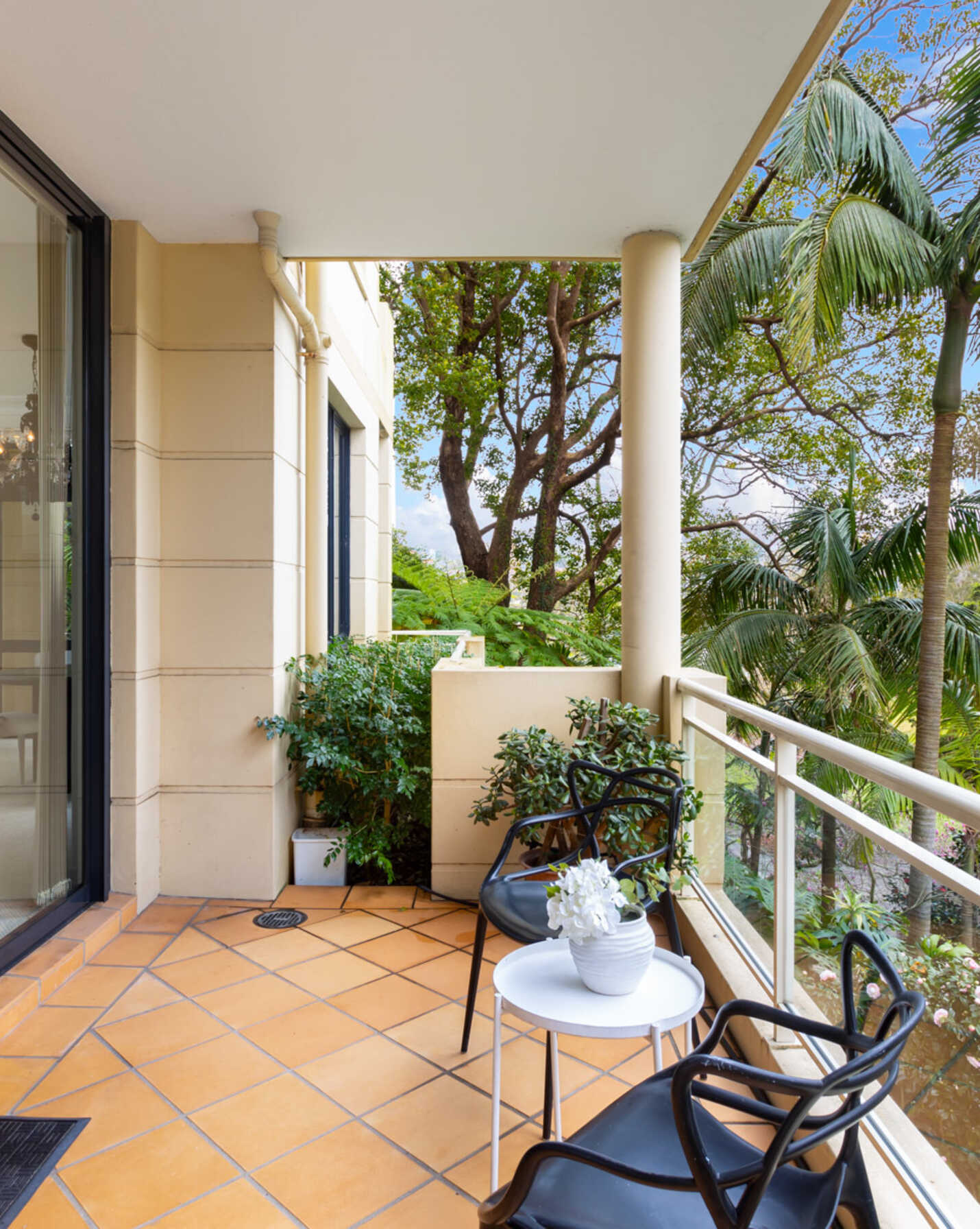 1/2 Holdsworth Avenue Elizabeth Bay, Bay - Thumbnail 4