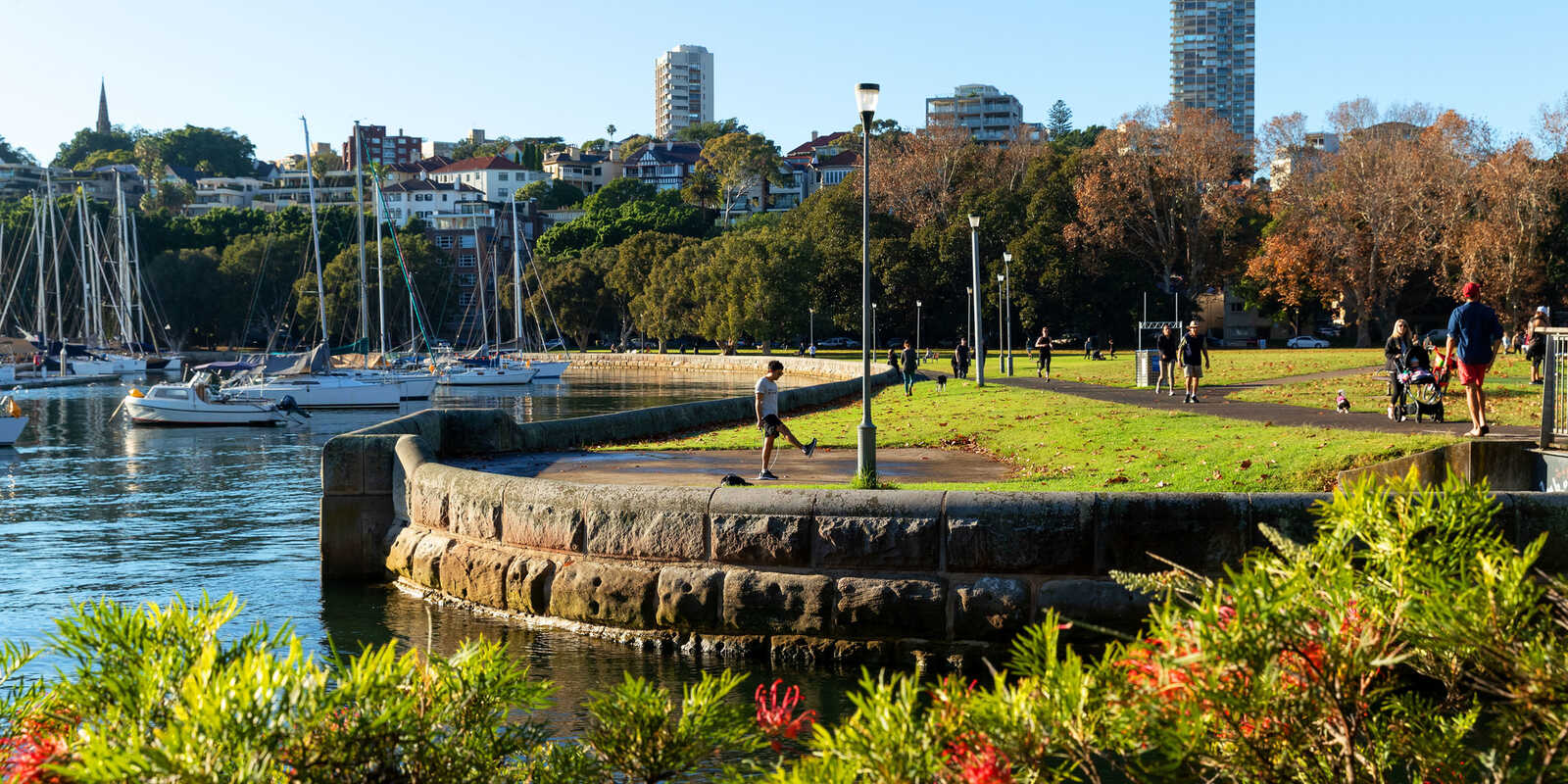 1/2 Holdsworth Avenue Elizabeth Bay 1/2 Holdsworth Avenue Elizabeth Bay