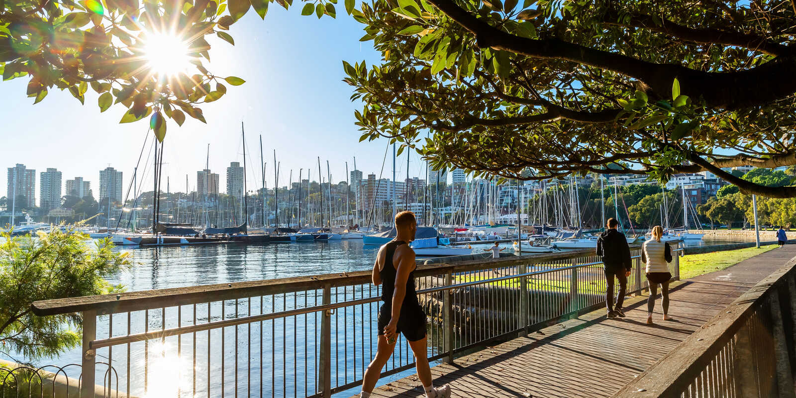 1/2 Holdsworth Avenue Elizabeth Bay 1/2 Holdsworth Avenue Elizabeth Bay