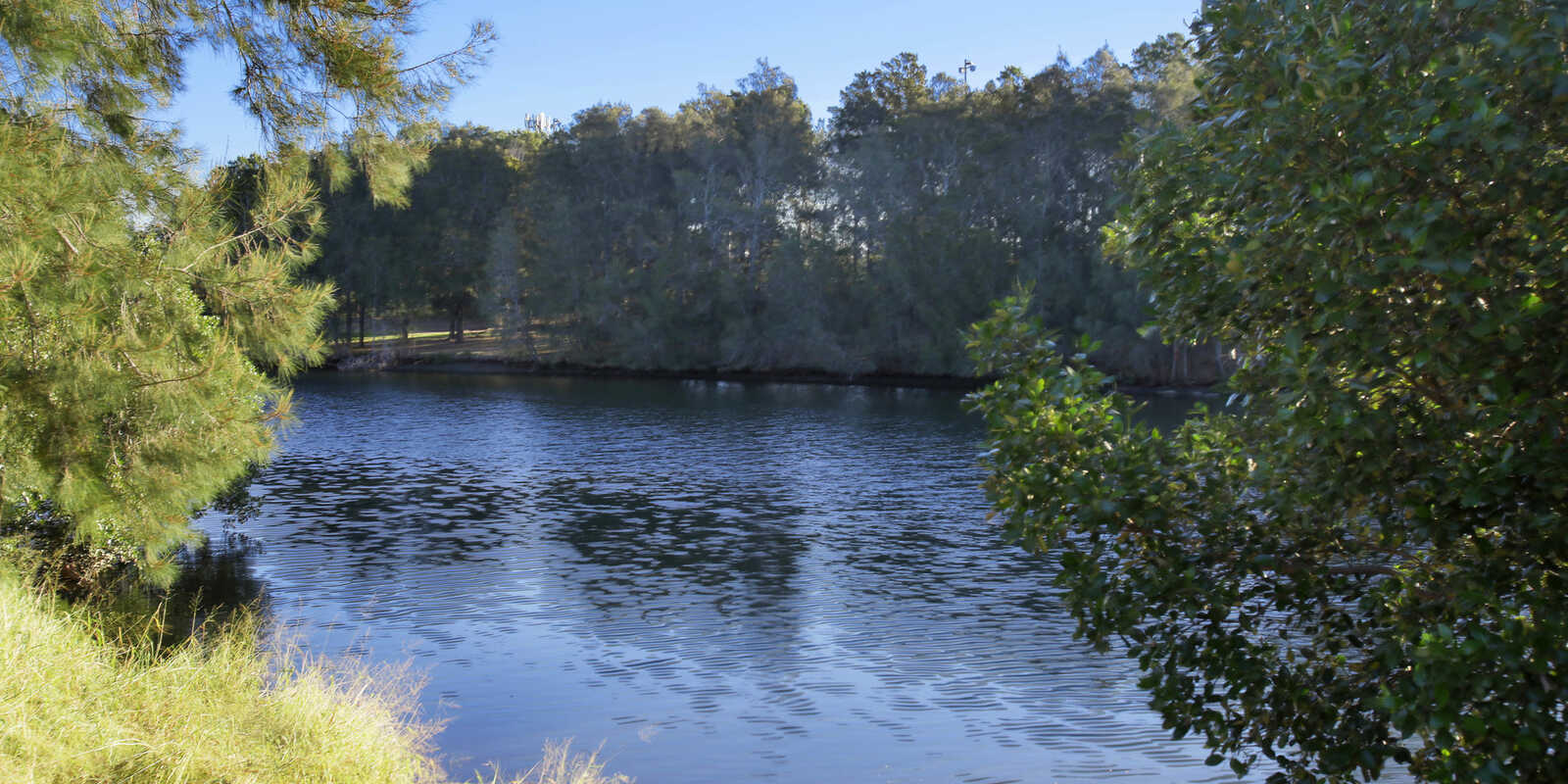 2/20 Crinan Street Hurlstone Park