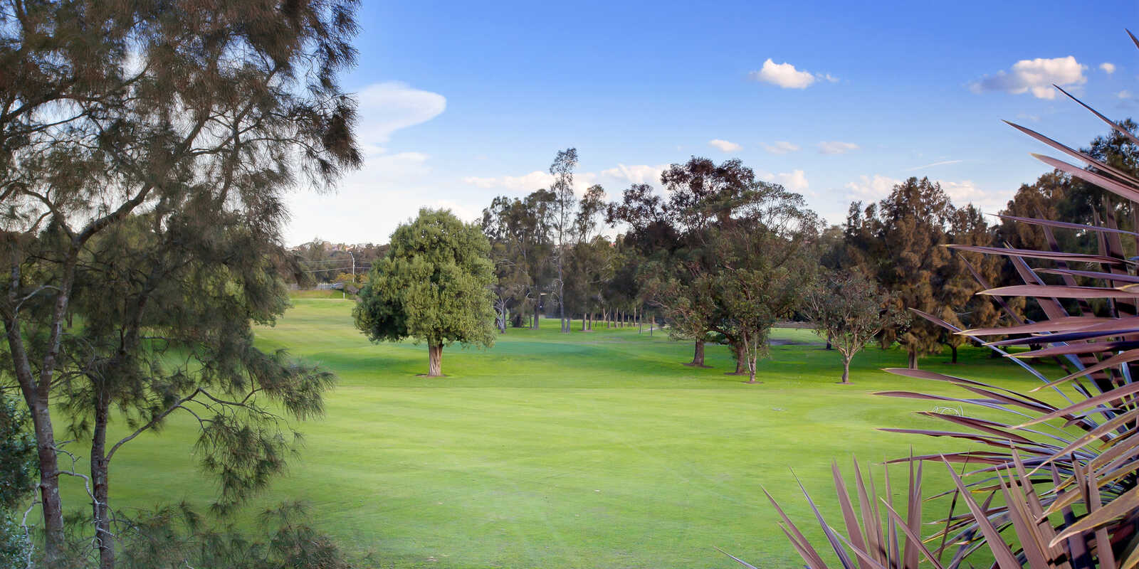 2/20 Crinan Street Hurlstone Park