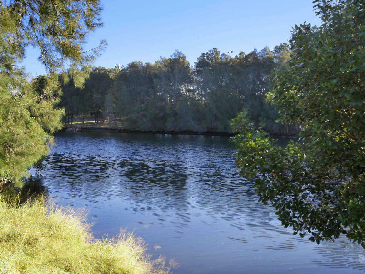 2/20 Crinan Street Hurlstone Park
