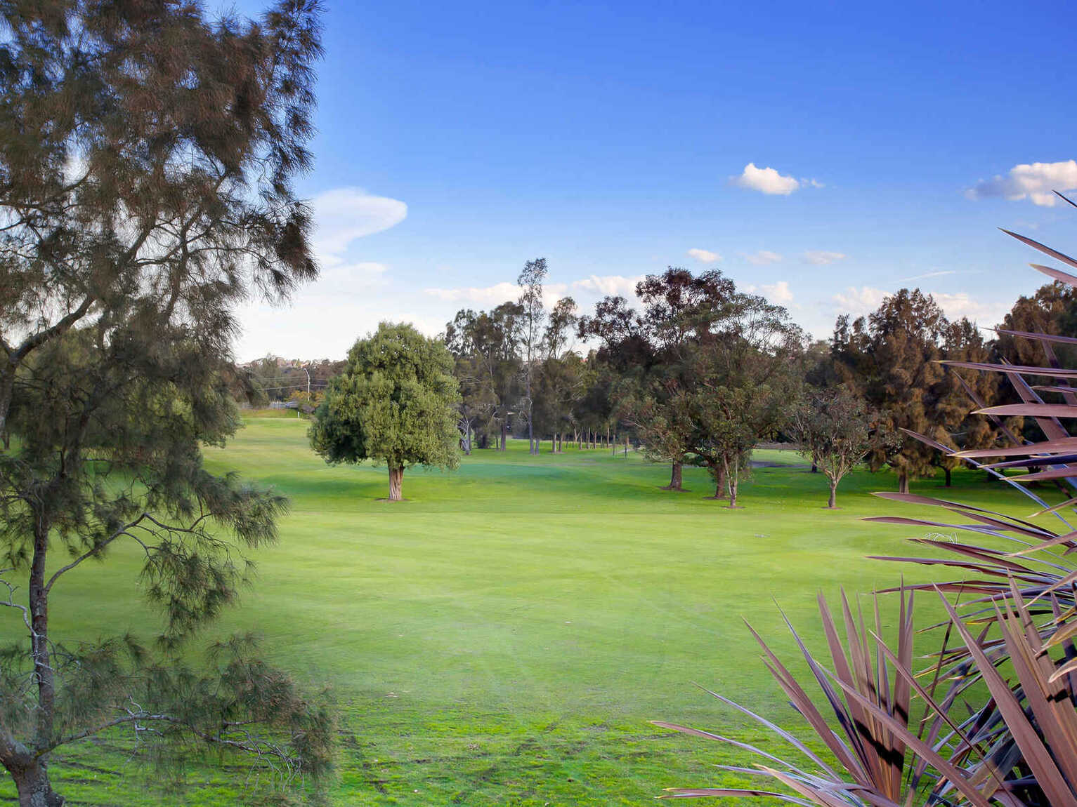 2/20 Crinan Street Hurlstone Park