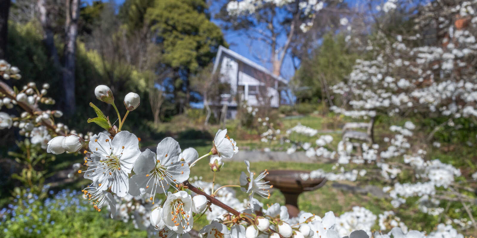 30 Sylvania Street Mount Victoria 30 Sylvania Street Mount Victoria