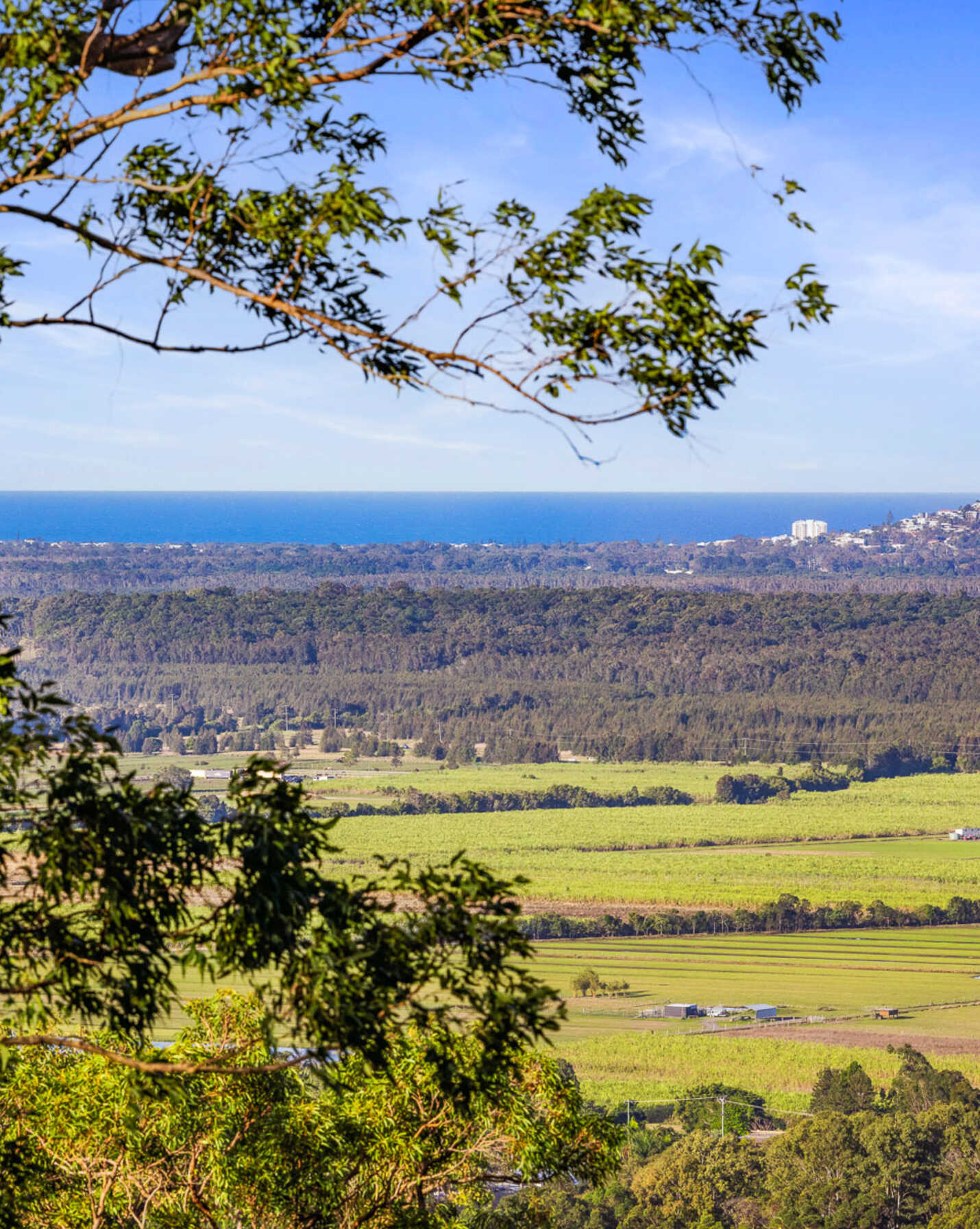 215 Ocean Vista Drive Maroochy River, River - Thumbnail 2