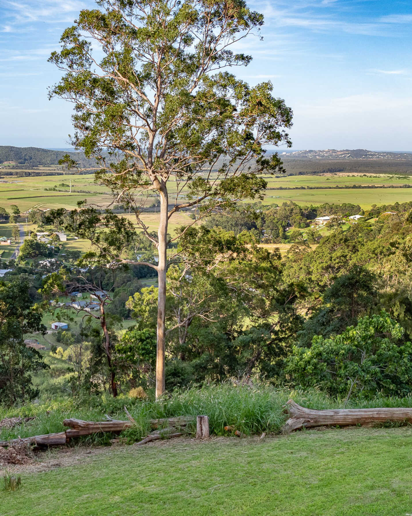 215 Ocean Vista Drive Maroochy River, River - Thumbnail 4