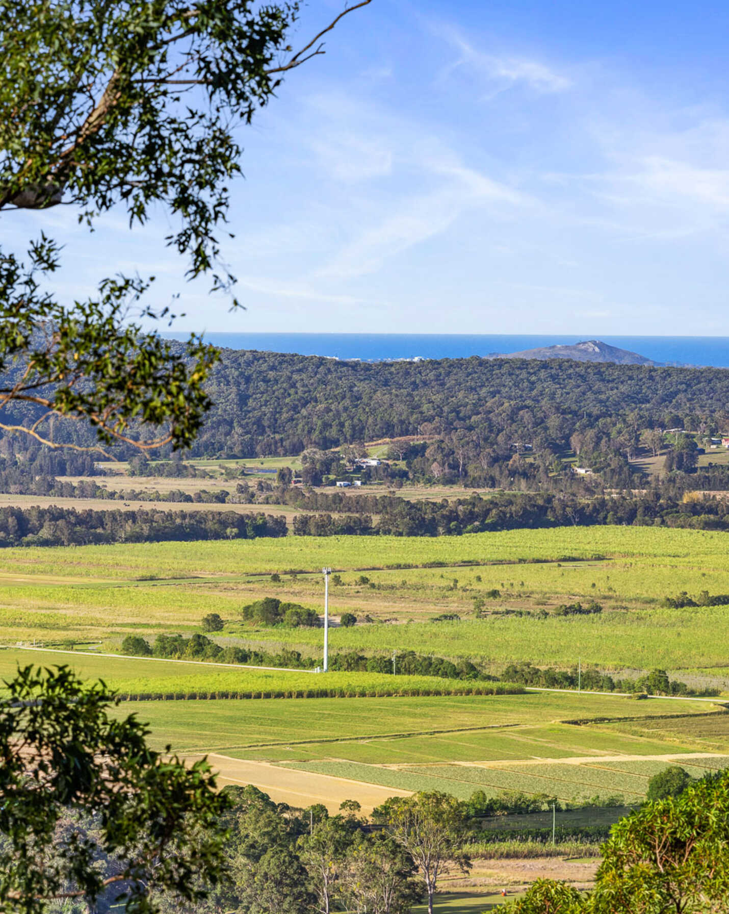 215 Ocean Vista Drive Maroochy River, River - Thumbnail 6