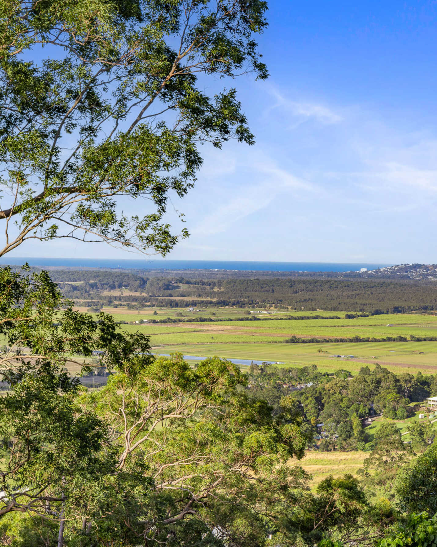 215 Ocean Vista Drive Maroochy River, River - Thumbnail 7