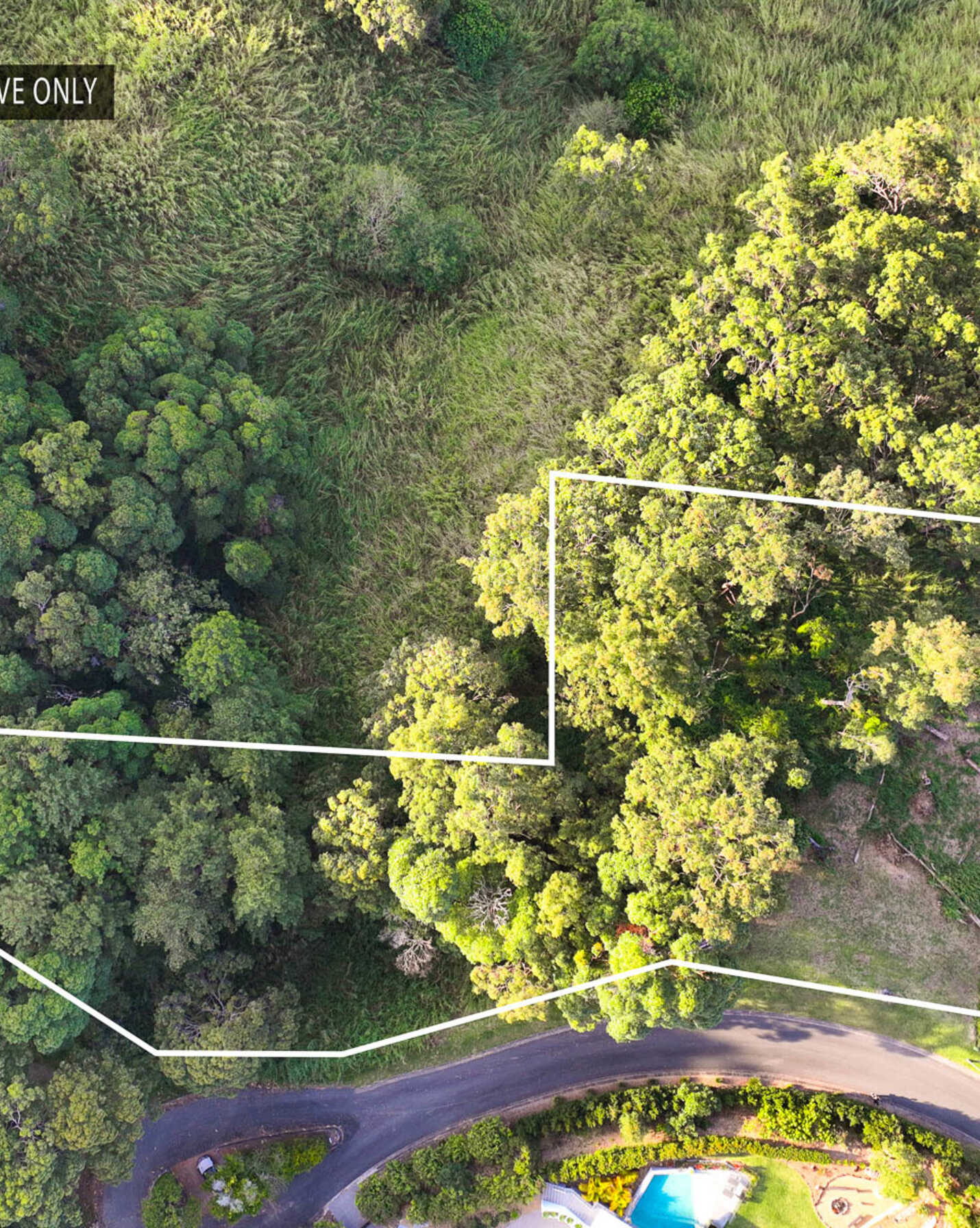 215 Ocean Vista Drive Maroochy River, River - Thumbnail 8