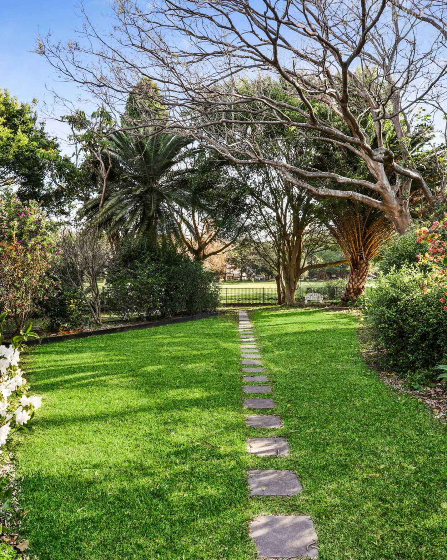 5/7 Manion Avenue Rose Bay, Bay - Thumbnail 5
