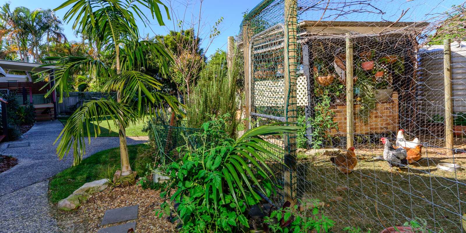 7 Bellwood Court Bellmere 7 Bellwood Court Bellmere