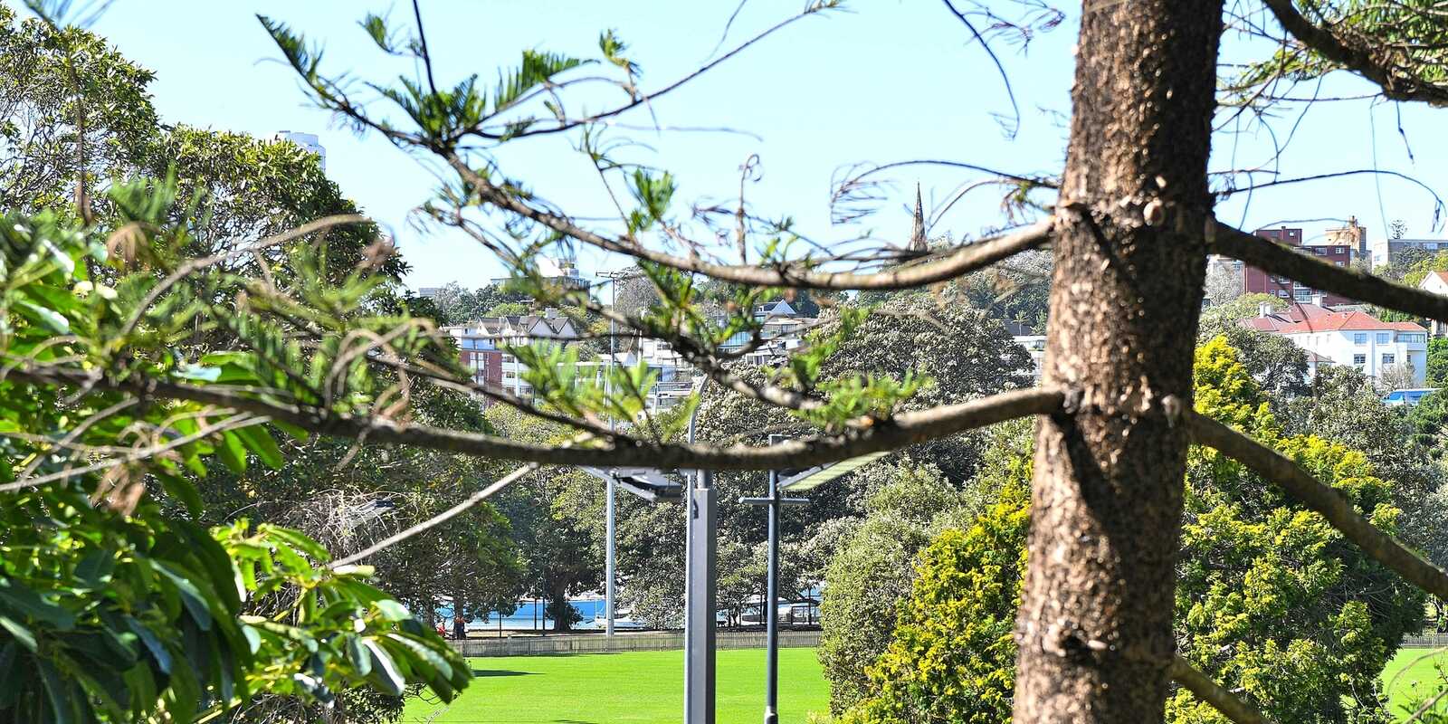 6/40a Roslyn Gardens Rushcutters Bay 6/40a Roslyn Gardens Rushcutters Bay