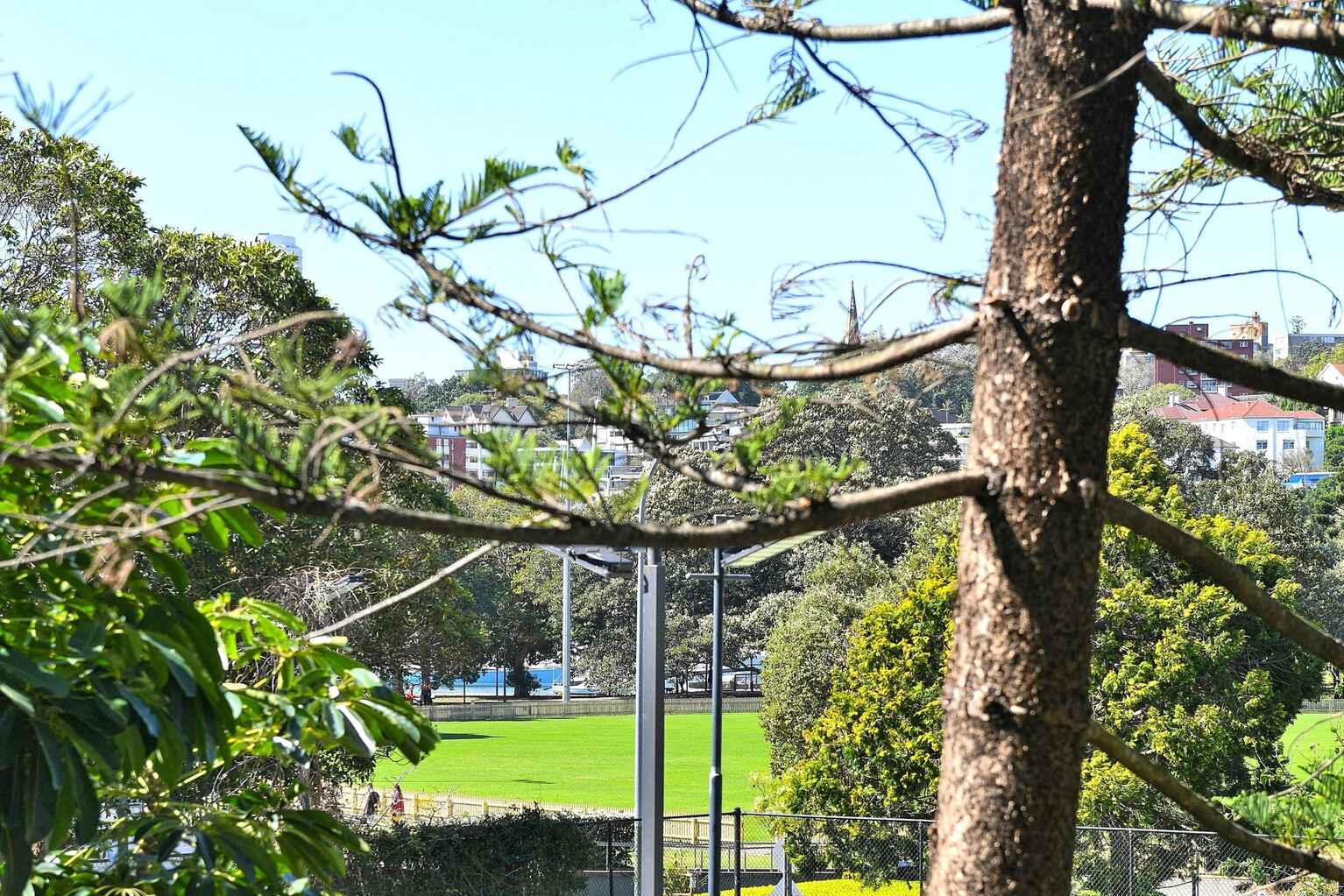 6/40a Roslyn Gardens Rushcutters Bay 6/40a Roslyn Gardens Rushcutters Bay
