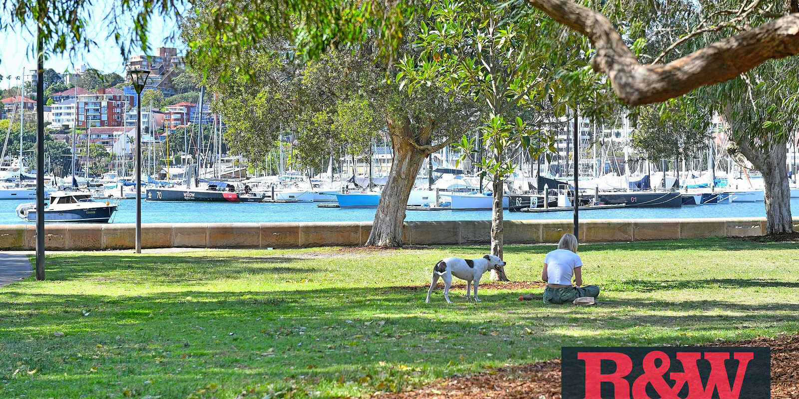 6/40a Roslyn Gardens Rushcutters Bay 6/40a Roslyn Gardens Rushcutters Bay