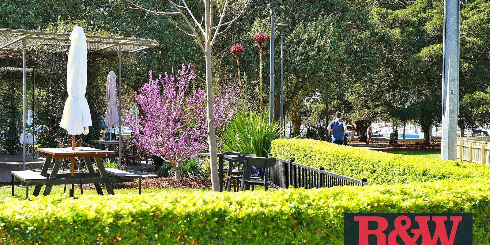 6/40a Roslyn Gardens Rushcutters Bay 6/40a Roslyn Gardens Rushcutters Bay