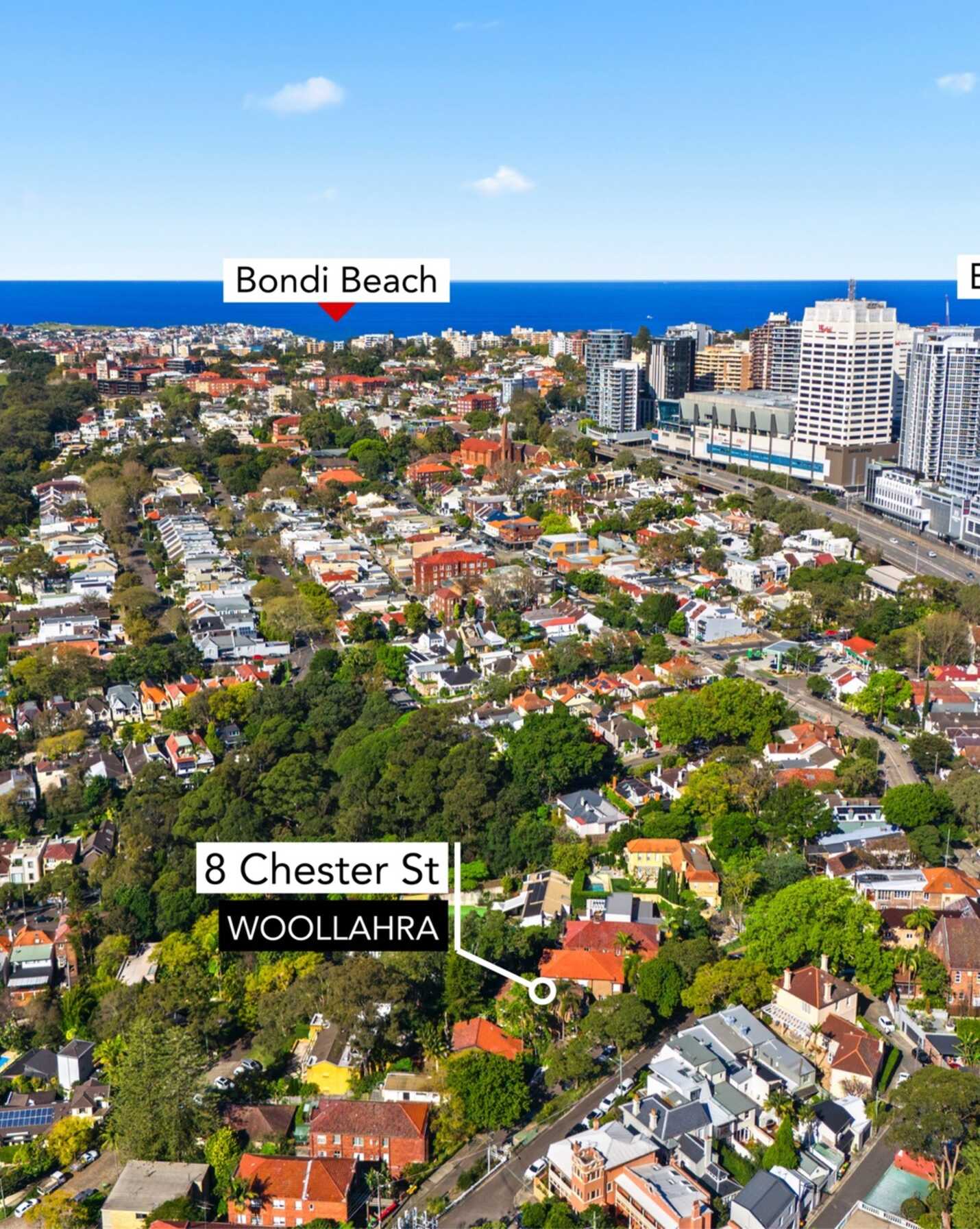8 Chester Street Woollahra, Woollahra - Thumbnail 3