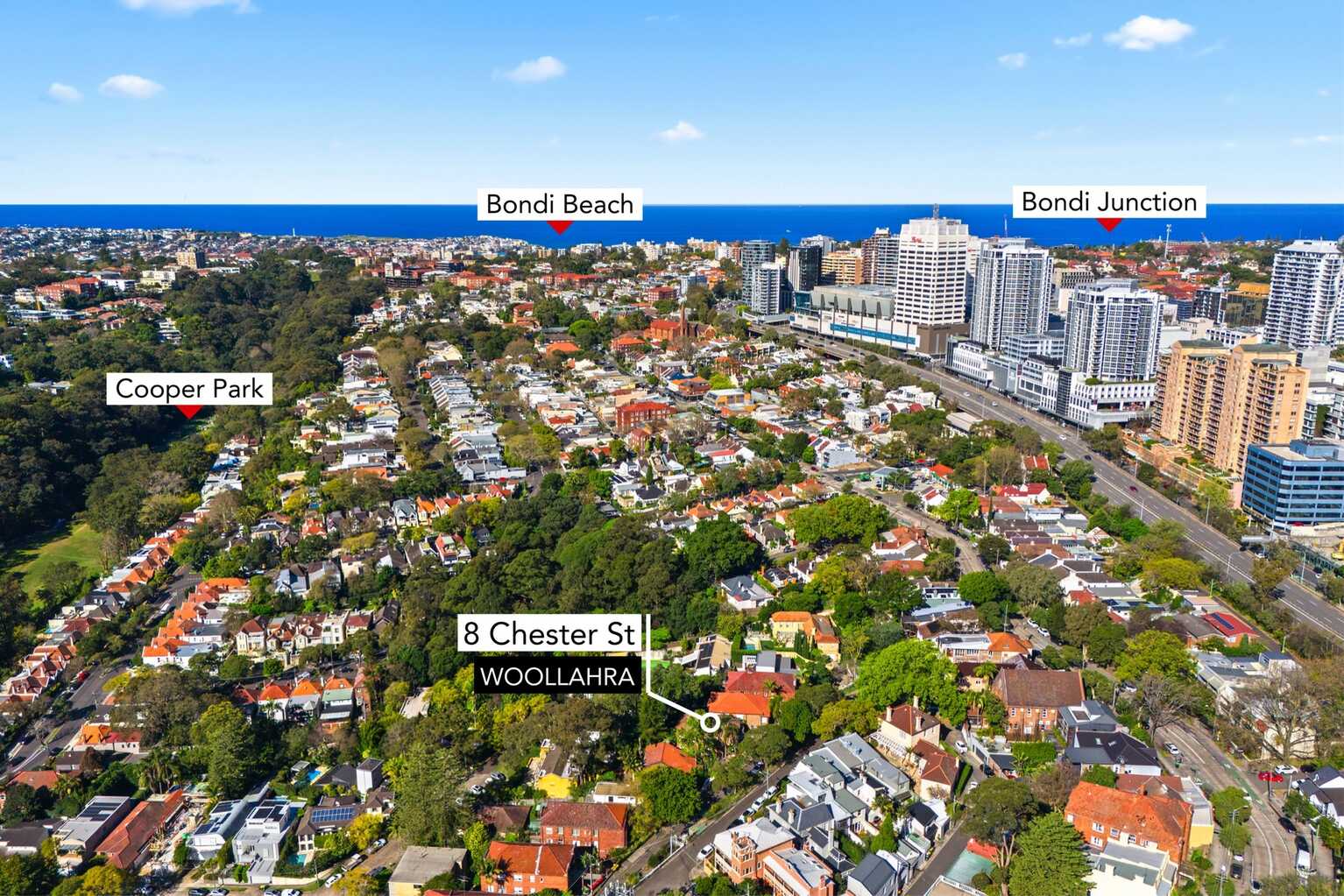8 Chester Street Woollahra 8 Chester Street Woollahra