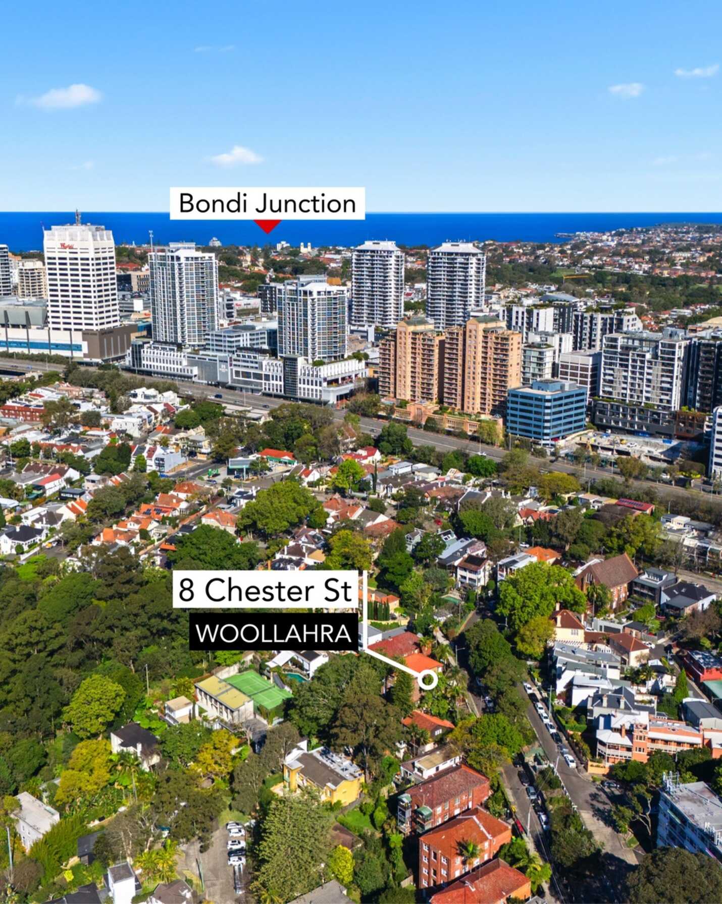 8 Chester Street Woollahra, Woollahra - Thumbnail 6