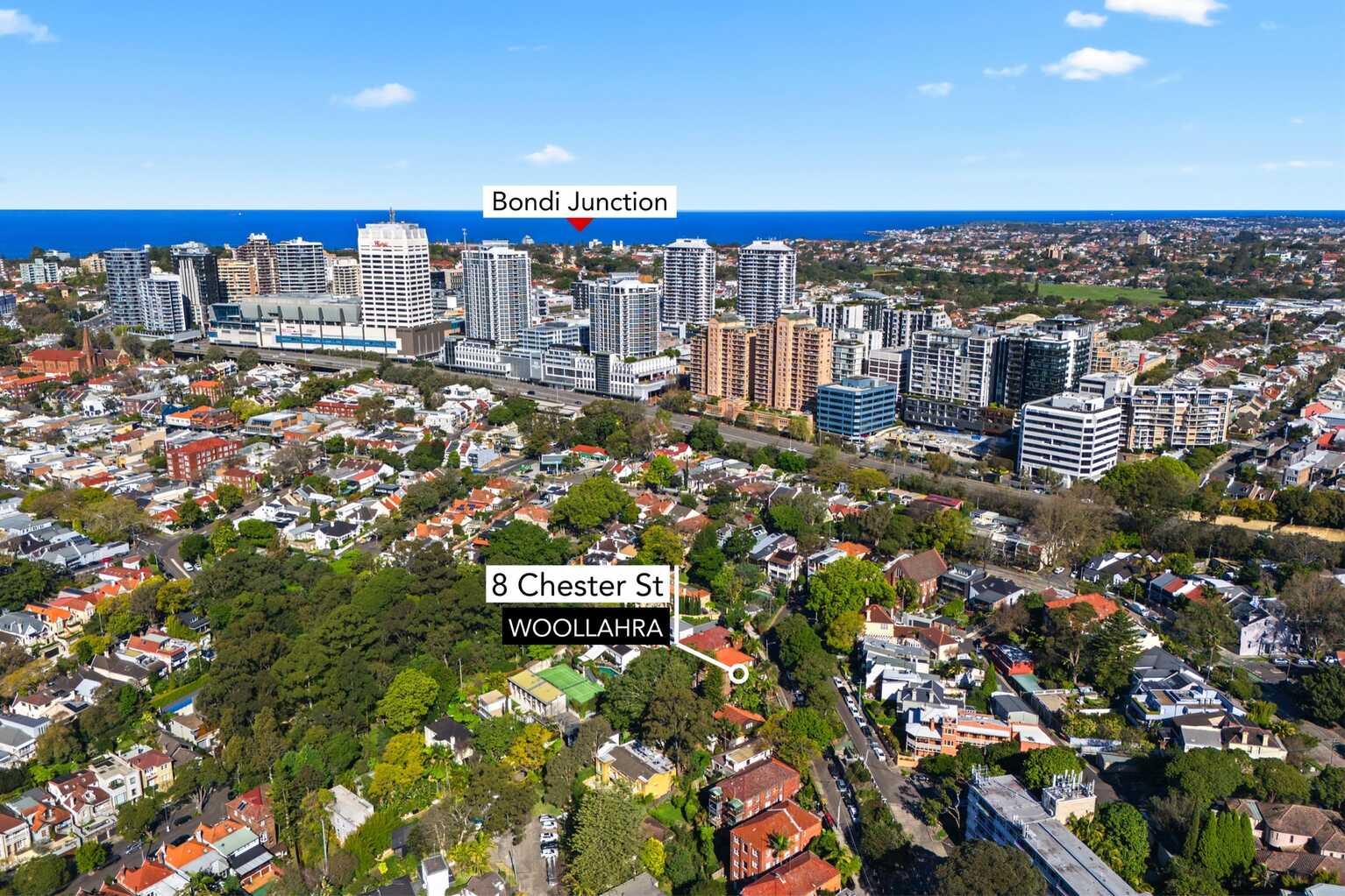 8 Chester Street Woollahra 8 Chester Street Woollahra