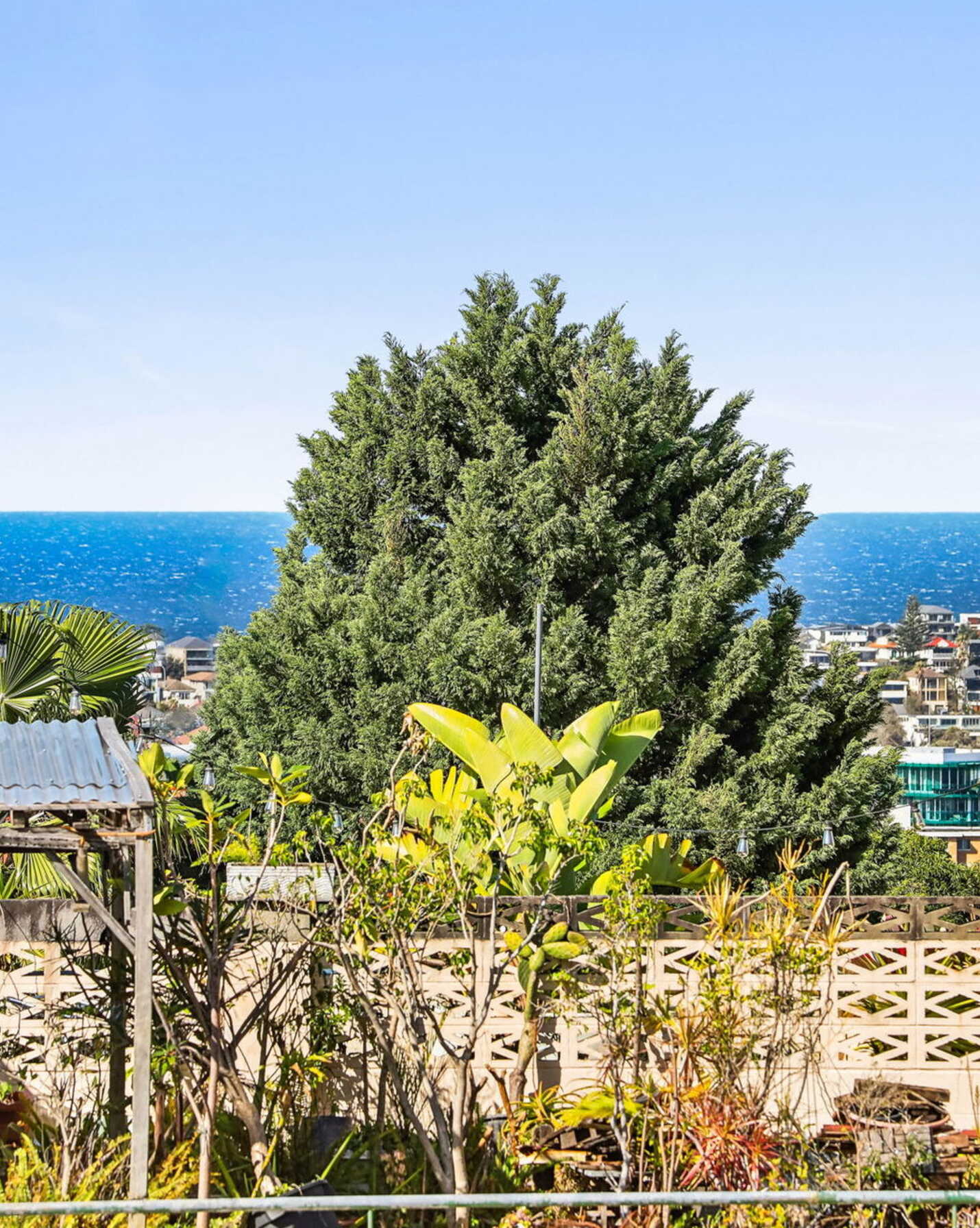 5/235 Old South Head Road Bondi, Bondi - Thumbnail 2