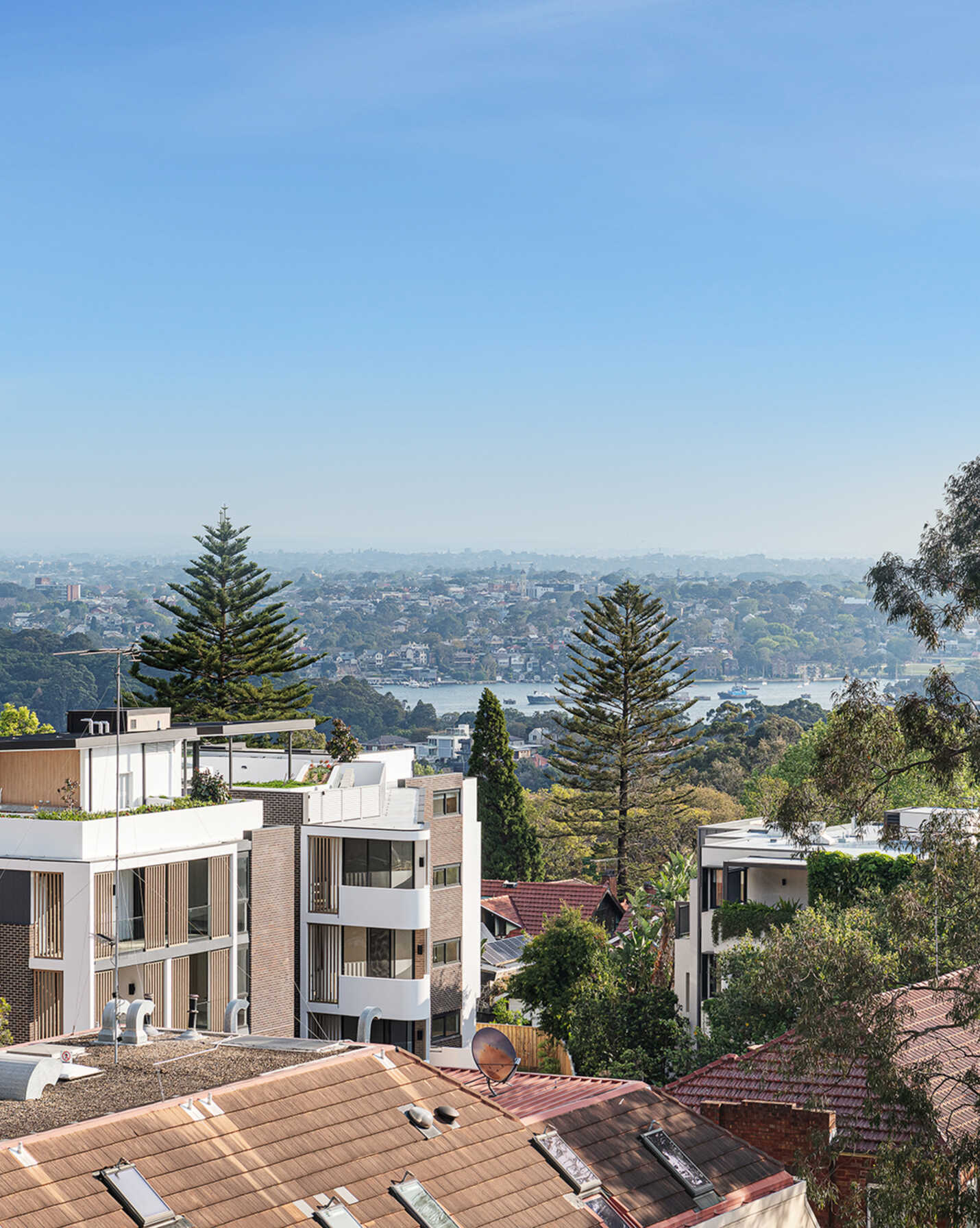 808/225 Pacific Highway North Sydney, Sydney - Thumbnail 6