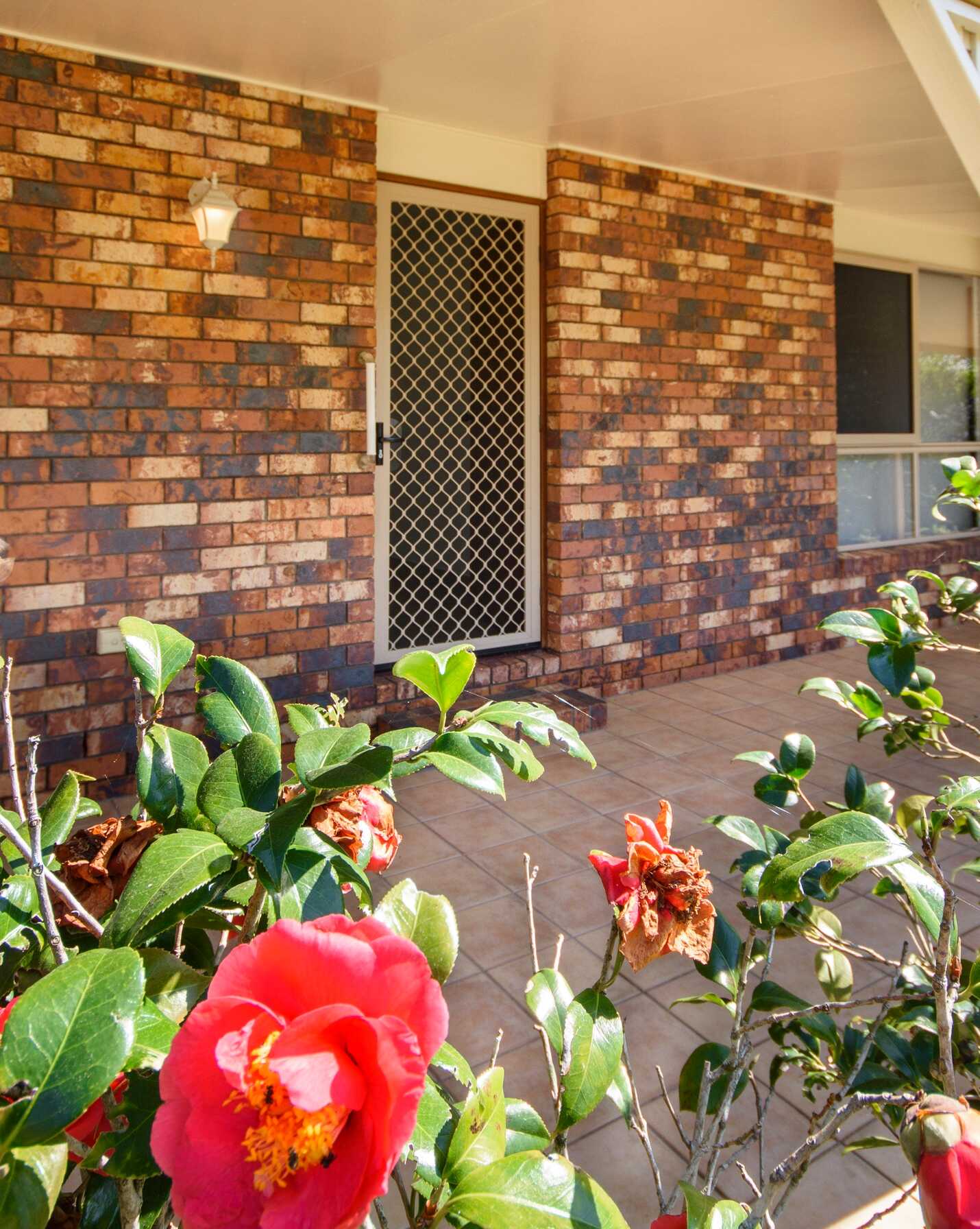 10 Avala Crescent Elimbah, Elimbah - Thumbnail 5