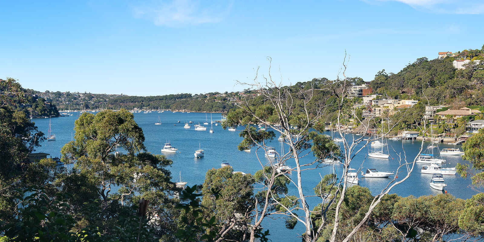 Flat 11 The Barricade Castlecrag
