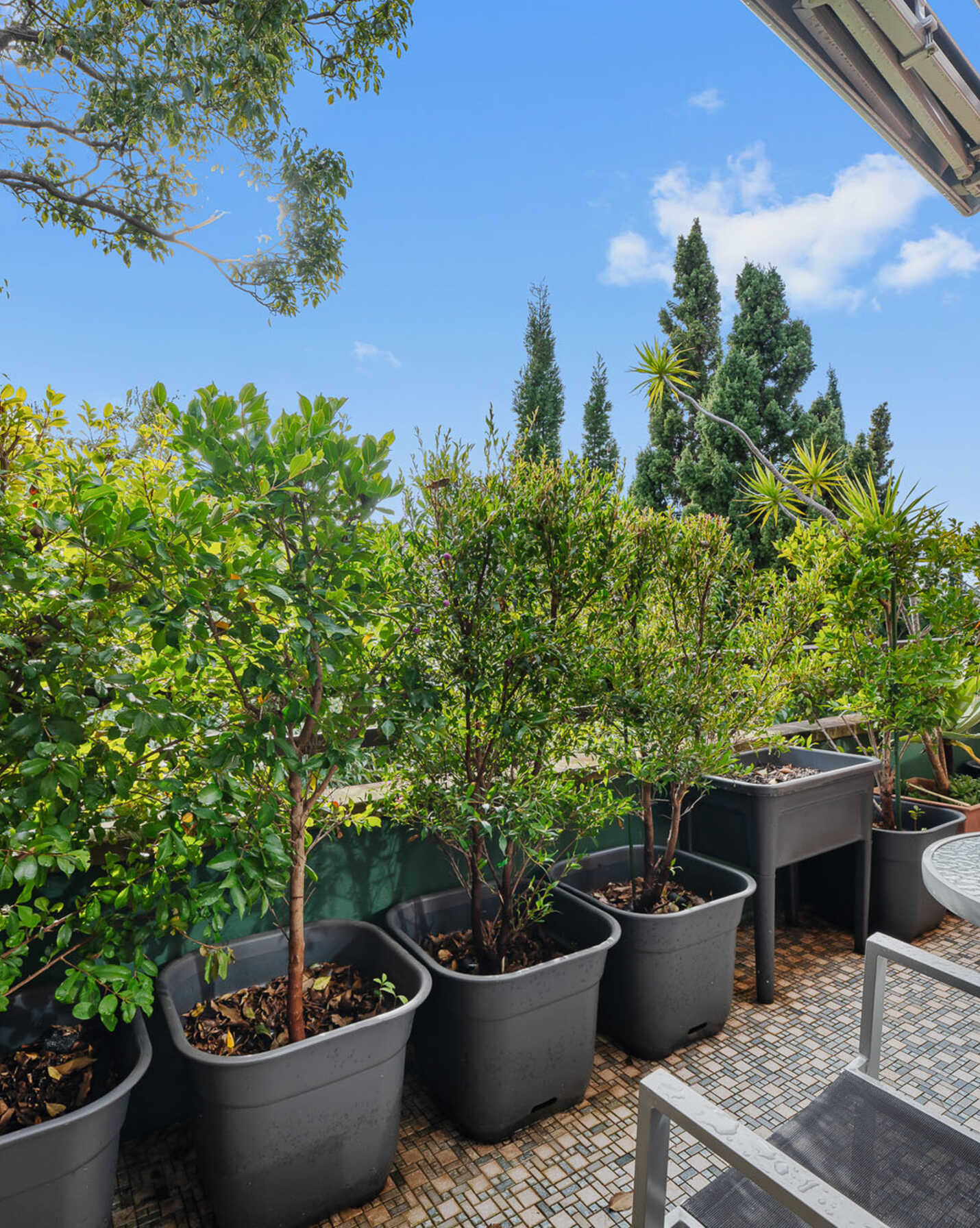15/46 Terrace Road Dulwich Hill, Hill - Thumbnail 3