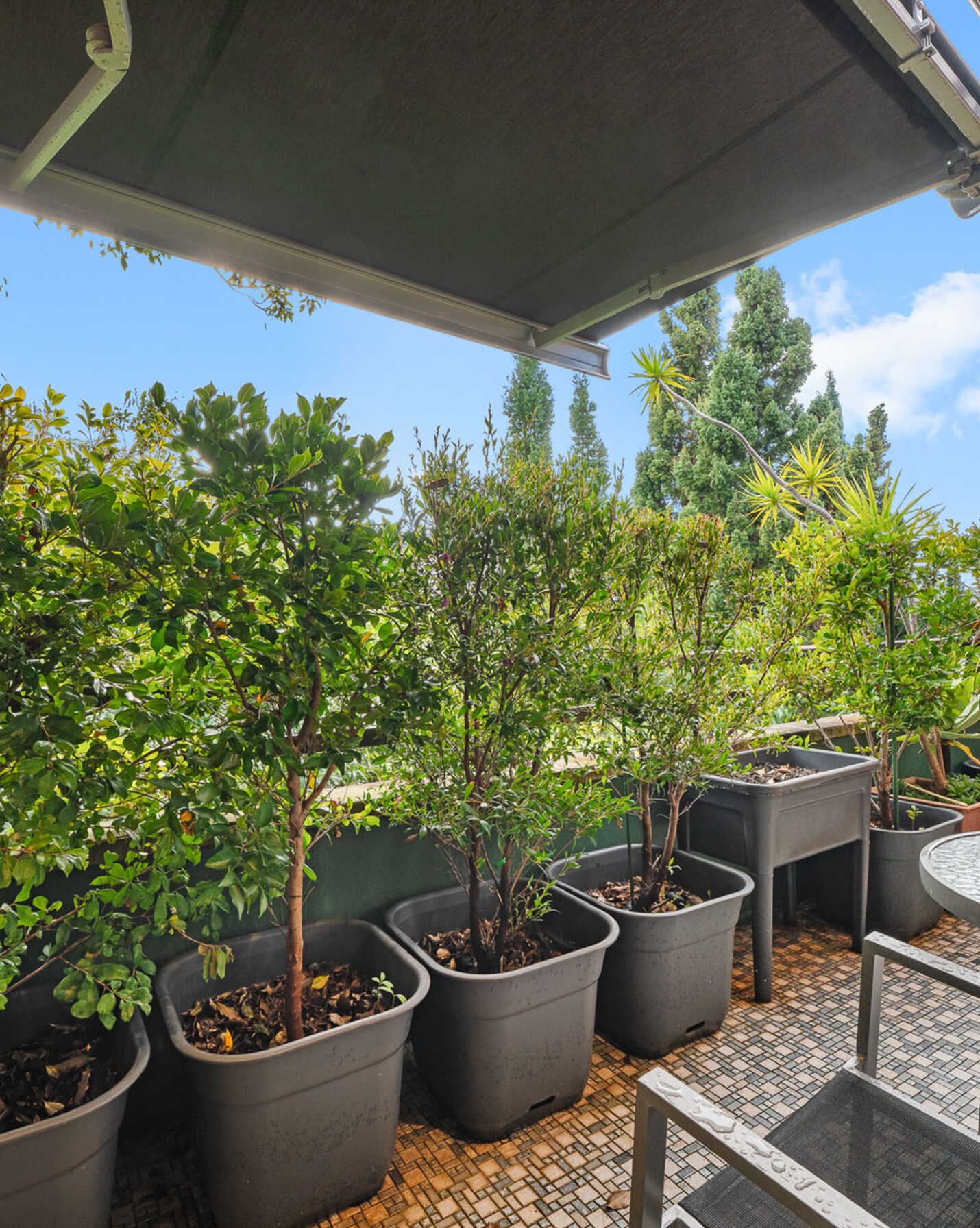 15/46 Terrace Road Dulwich Hill, Hill - Thumbnail 4