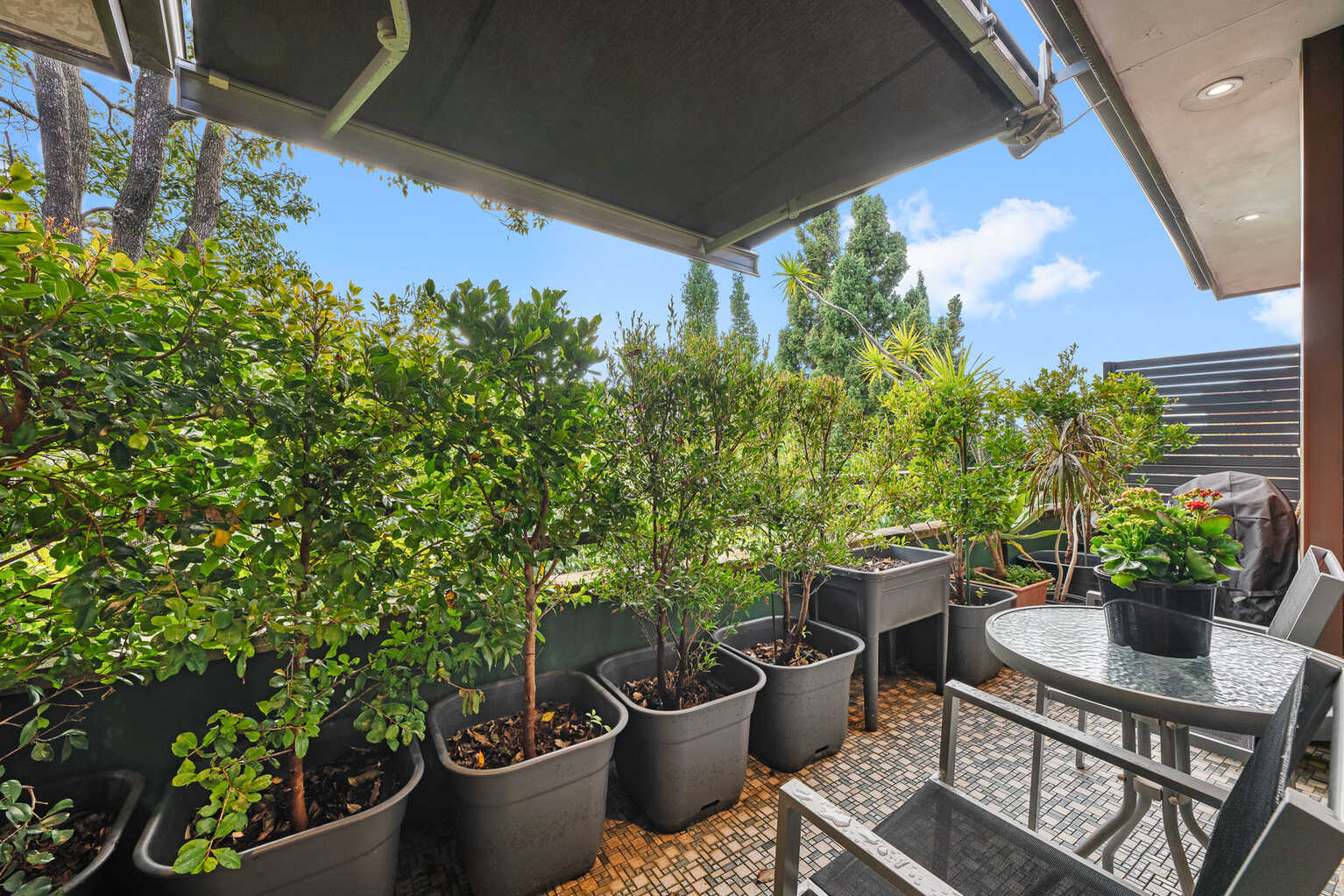 15/46 Terrace Road Dulwich Hill 15/46 Terrace Road Dulwich Hill