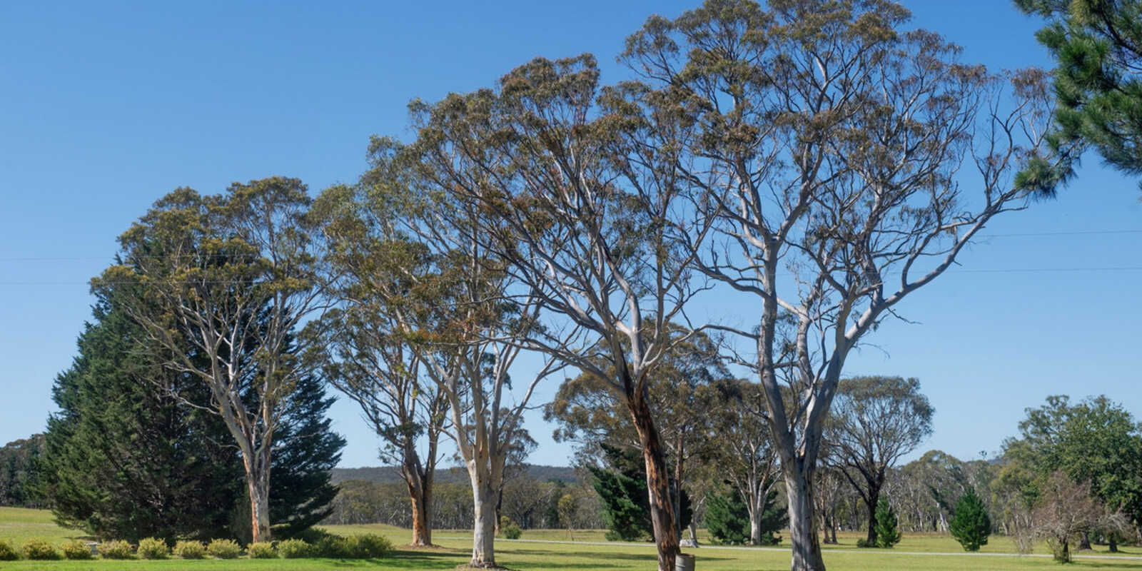349 Highland Way Marulan 349 Highland Way Marulan