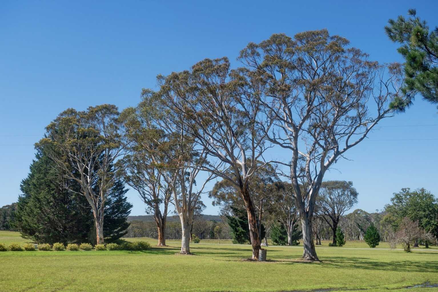 349 Highland Way Marulan 349 Highland Way Marulan