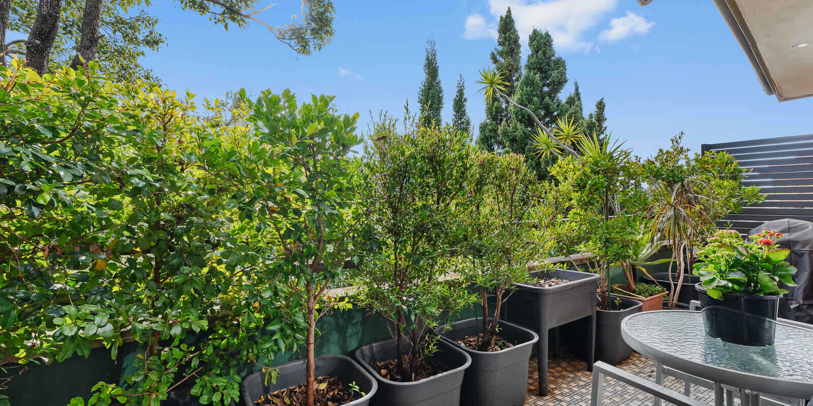 15/46 Terrace Road Dulwich Hill 15/46 Terrace Road Dulwich Hill
