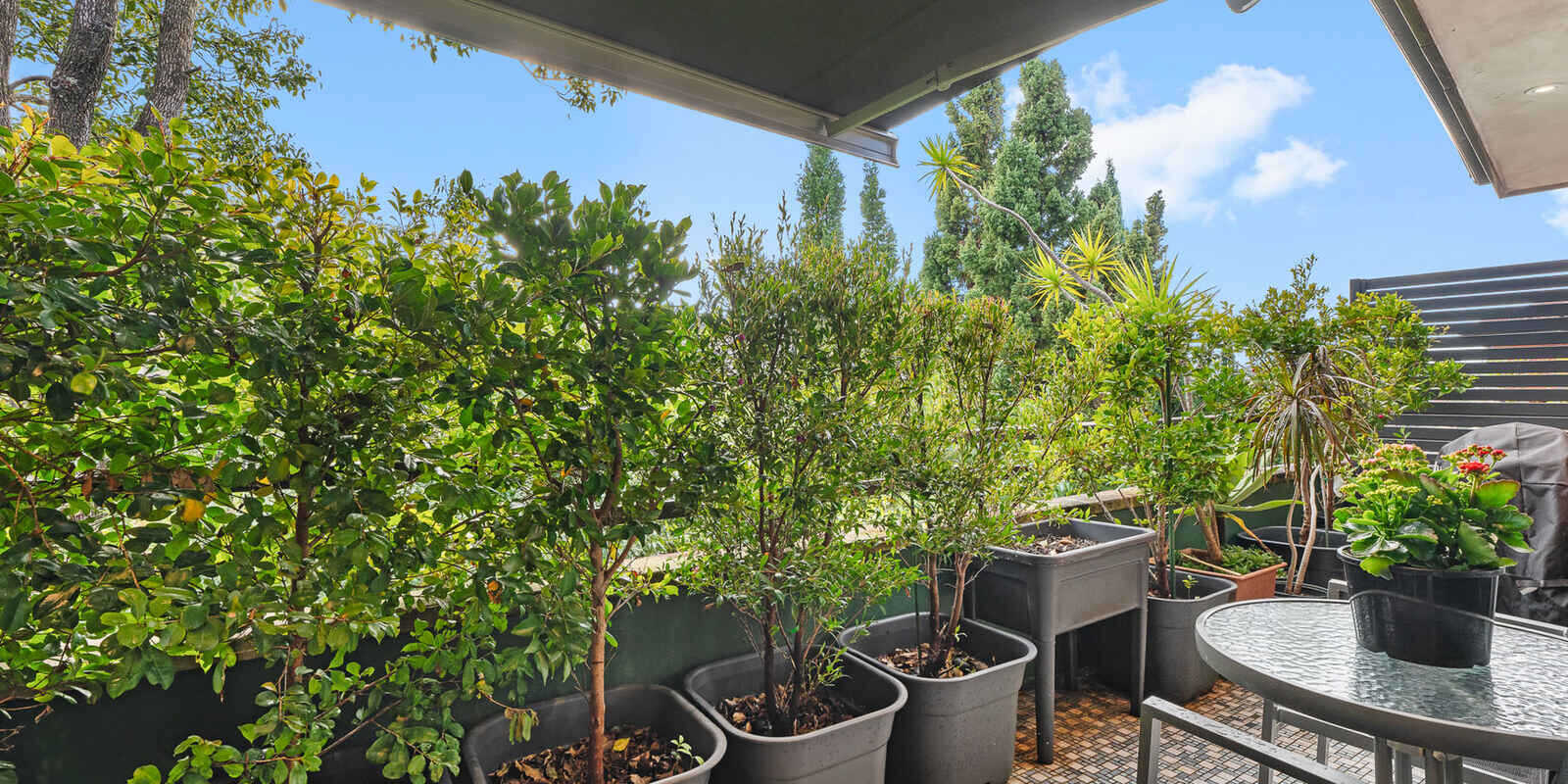15/46 Terrace Road Dulwich Hill 15/46 Terrace Road Dulwich Hill