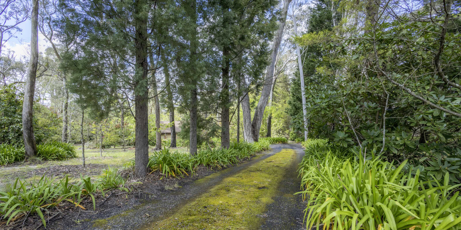 7 Balmoral Road Mount Victoria 7 Balmoral Road Mount Victoria
