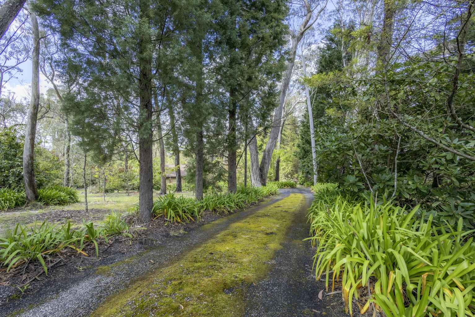 7 Balmoral Road Mount Victoria 7 Balmoral Road Mount Victoria