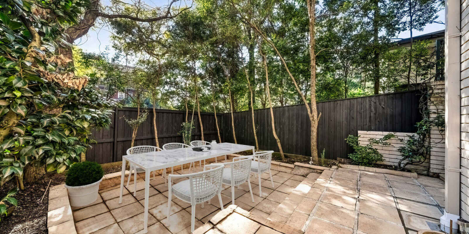 1/2B Holt Street Double Bay