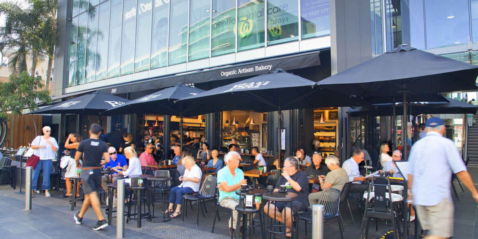 1/2B Holt Street Double Bay