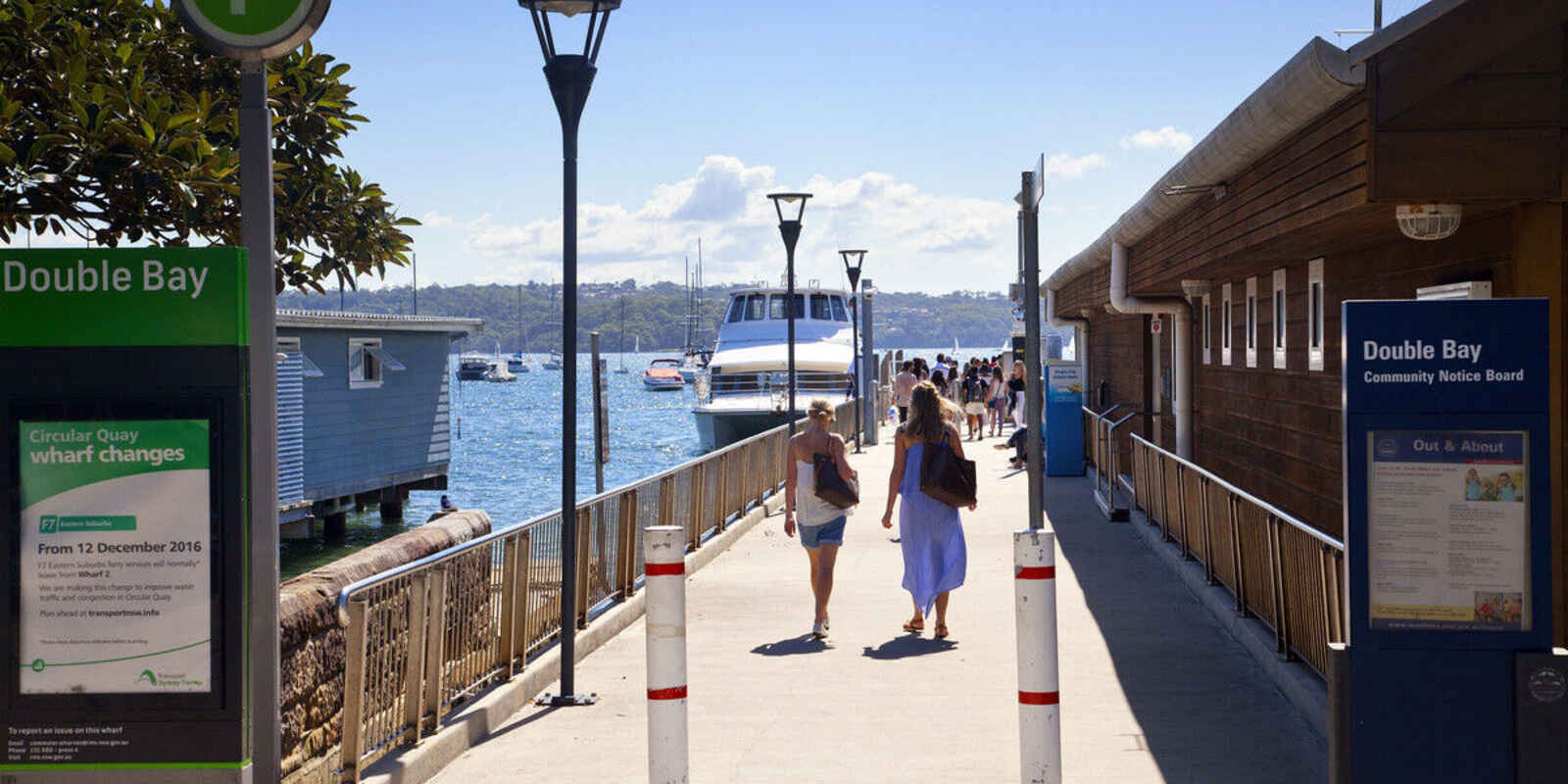 1/2B Holt Street Double Bay