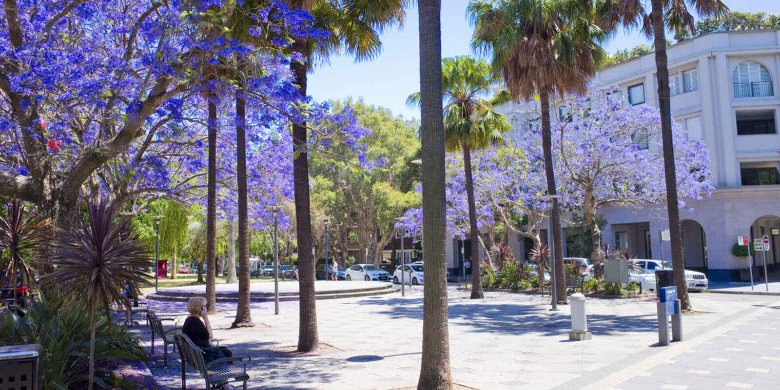 1/2B Holt Street Double Bay