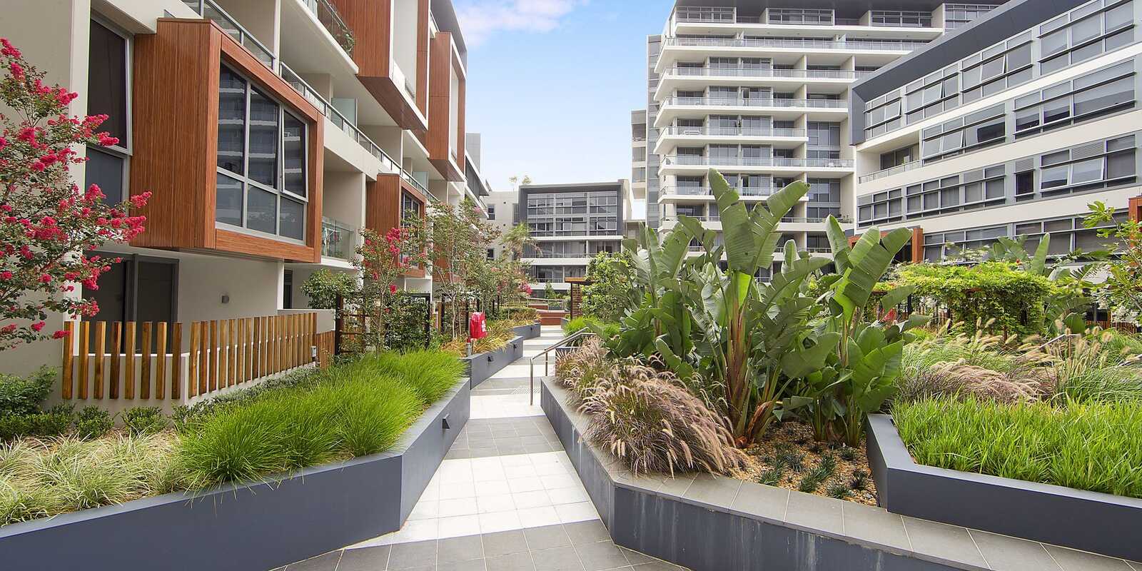 403/23 Archibald Avenue Waterloo 403/23 Archibald Avenue Waterloo