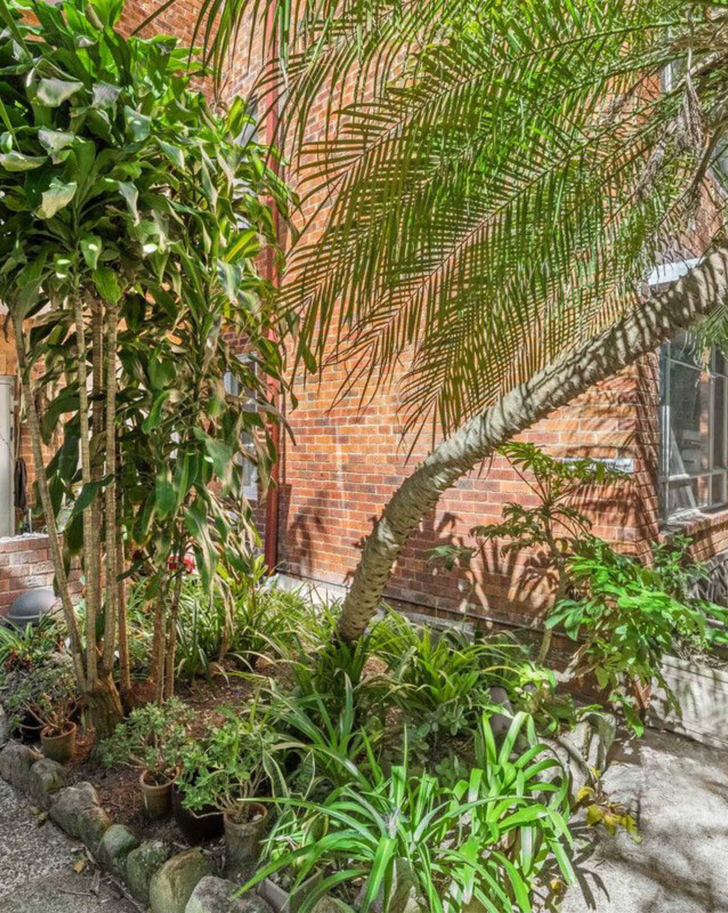 3/2a Dumaresq Road Rose Bay, Bay - Thumbnail 2