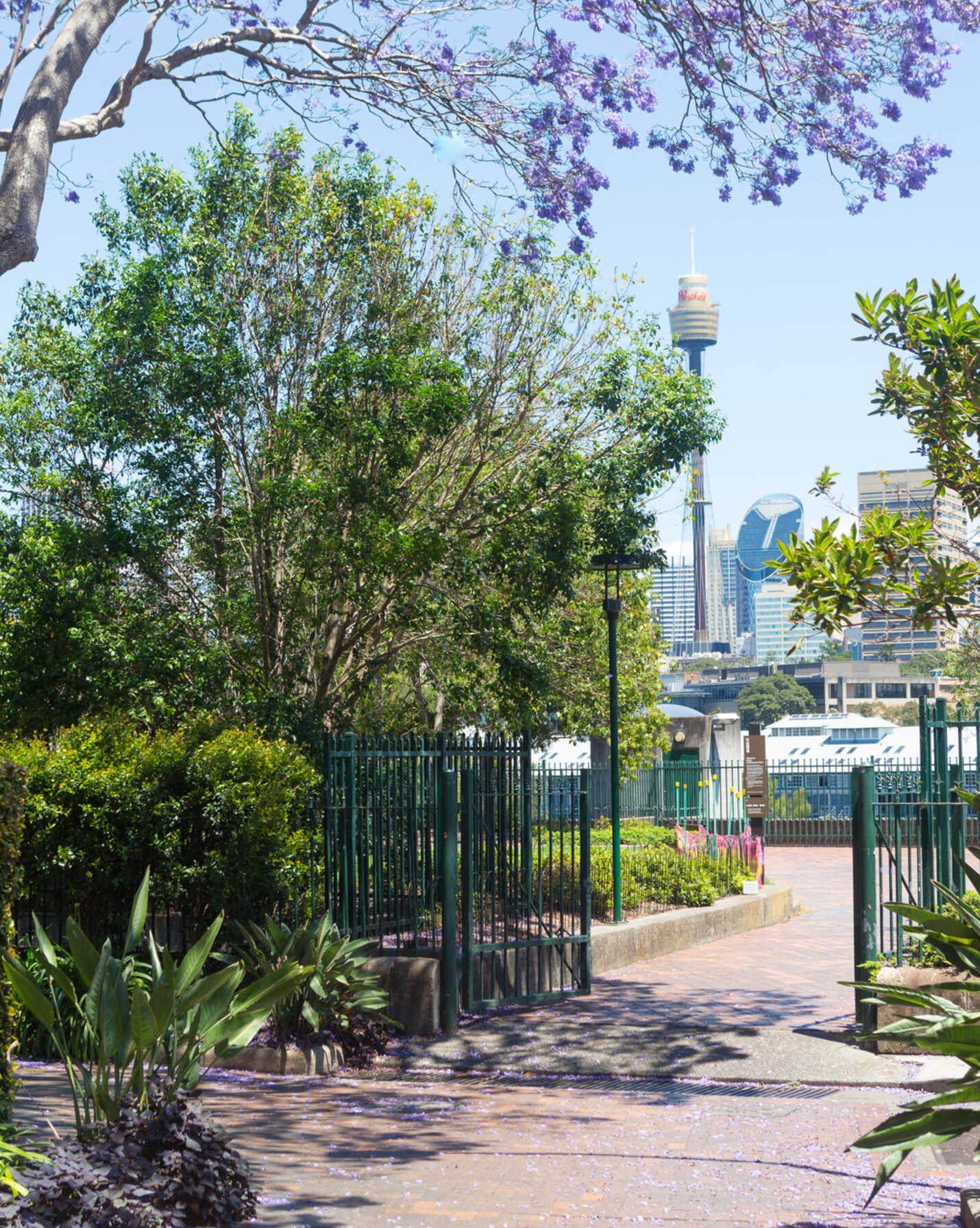 804/145 Victoria Street Potts Point, Point - Thumbnail 5